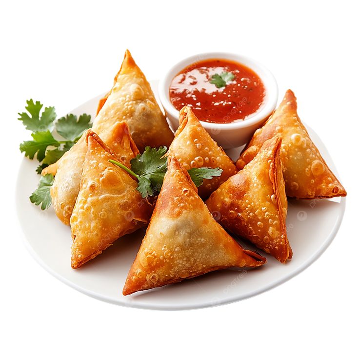 Fresh & Tasty Samosa